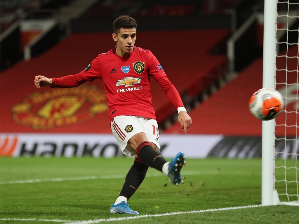 构的许可证 构的许可证